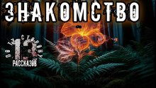 Знакомство - Алексей Константинов - Аудиокниги слушать онлайн бесплатно без регистрации | электронная библиотека knigi-audio.info