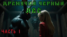 Дремучий Чёрный Лес - Андрей Кунгурцев - Аудиокниги слушать онлайн бесплатно без регистрации | электронная библиотека knigi-audio.info