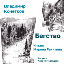 Бегство - Владимир Кочетков - Аудиокниги слушать онлайн бесплатно без регистрации | электронная библиотека knigi-audio.info