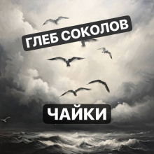 Чайки - Глеб Соколов - Аудиокниги слушать онлайн бесплатно без регистрации | электронная библиотека knigi-audio.info