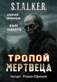 S.T.A.L.K.E.R. Тропой мертвеца - Ильяс Найманов - Аудиокниги слушать онлайн бесплатно без регистрации | электронная библиотека knigi-audio.info