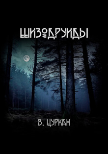 Шизодруиды - Валерий Цуркан - Аудиокниги слушать онлайн бесплатно без регистрации | электронная библиотека knigi-audio.info
