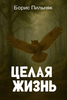 Целая жизнь - Борис Пильняк - Аудиокниги слушать онлайн бесплатно без регистрации | электронная библиотека knigi-audio.info