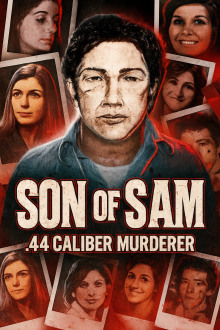 44-калибр: охота серийного убийцы - Автор неизвестен - Аудиокниги слушать онлайн бесплатно без регистрации | электронная библиотека knigi-audio.info