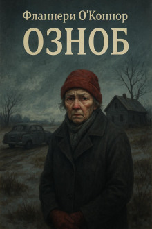 Озноб - Фланнери О&#039 - Аудиокниги слушать онлайн бесплатно без регистрации | электронная библиотека knigi-audio.info