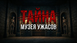 Галстук Вудро Вильсона - Патриция Хайсмит - Аудиокниги слушать онлайн бесплатно без регистрации | электронная библиотека knigi-audio.info