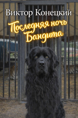 Последняя ночь Бандита - Виктор Конецкий - Аудиокниги слушать онлайн бесплатно без регистрации | электронная библиотека knigi-audio.info