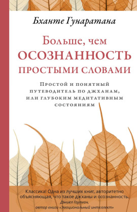Больше, чем осознанность простыми словами. Простой и понятный путеводитель по джханам, или глубоким медитативным состояниям - Бханте Хенепола Гунаратана - Аудиокниги слушать онлайн бесплатно без регистрации | электронная библиотека knigi-audio.info