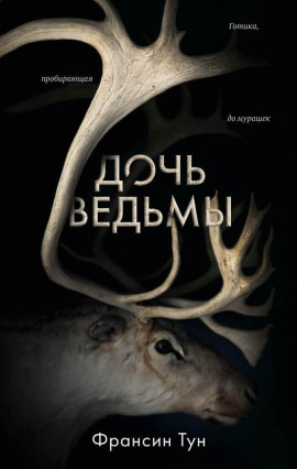 Дочь ведьмы - Тун Франсин - Аудиокниги слушать онлайн бесплатно без регистрации | электронная библиотека knigi-audio.info