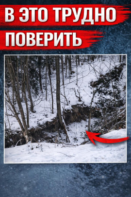 Оранжевое свечение у дороги - Автор неизвестен - Аудиокниги слушать онлайн бесплатно без регистрации | электронная библиотека knigi-audio.info