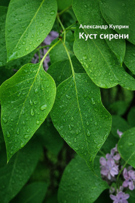 Куст сирени - Александр Куприн - Аудиокниги слушать онлайн бесплатно без регистрации | электронная библиотека knigi-audio.info
