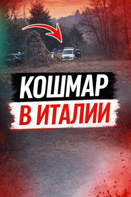 Чемодан среди леса - Автор неизвестен - Аудиокниги слушать онлайн бесплатно без регистрации | электронная библиотека knigi-audio.info