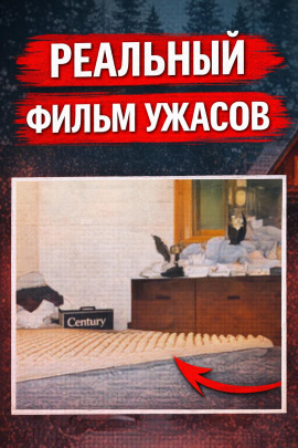 Восемь лет без ответа - Автор неизвестен - Аудиокниги слушать онлайн бесплатно без регистрации | электронная библиотека knigi-audio.info