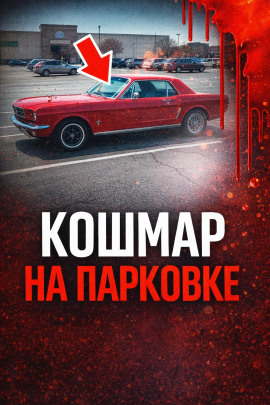 34 года поиска - Автор неизвестен - Аудиокниги слушать онлайн бесплатно без регистрации | электронная библиотека knigi-audio.info