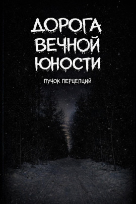 Дорога вечной юности - Пучок Перцепций - Аудиокниги слушать онлайн бесплатно без регистрации | электронная библиотека knigi-audio.info